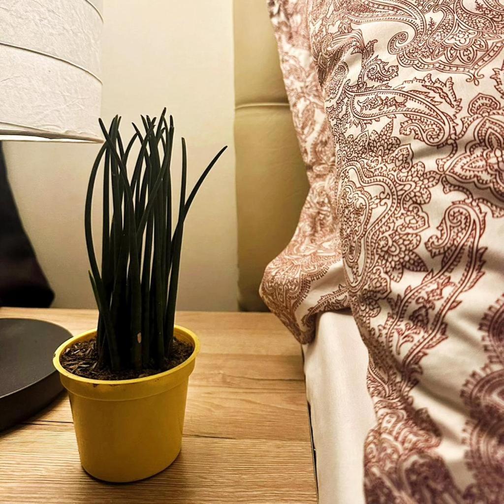 Acqua Private Residence Livingstone Tower Condo Unit With Free Wifi 마닐라 외부 사진